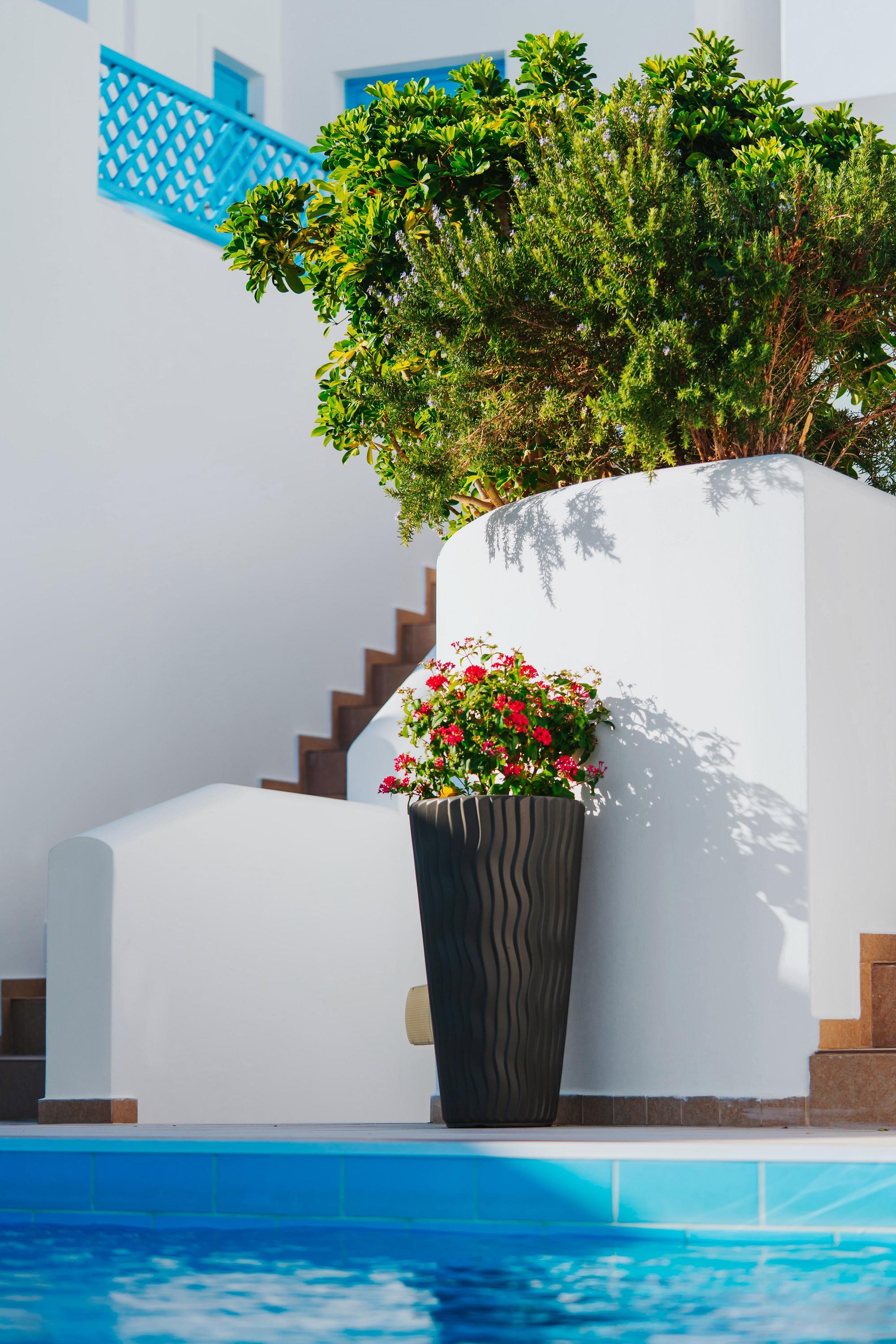 Aelia Apartments & Suites Ливадия-Астипалея Экстерьер фото